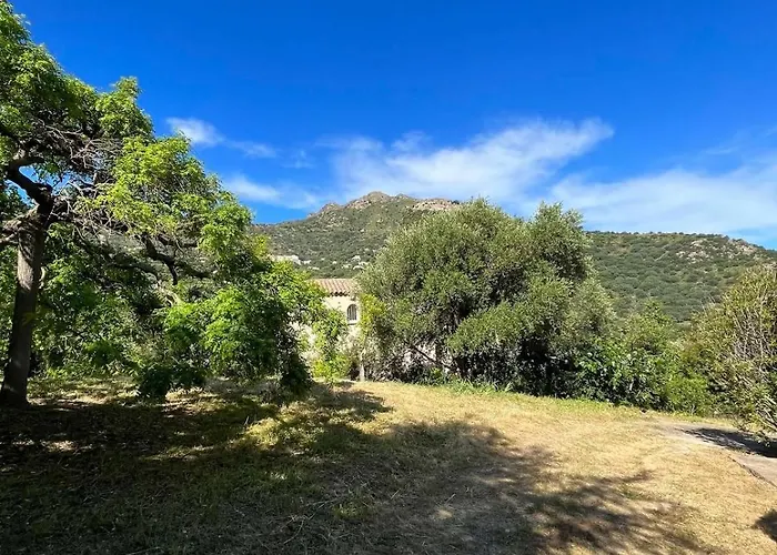 Calme Proche Du Centre Apartment Santa-Reparata-di-Balagna